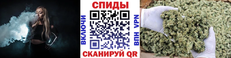 MEGA   Горячий Ключ  БУТИРАТ буратино  где найти  
