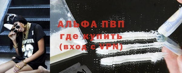 дживик Белокуриха