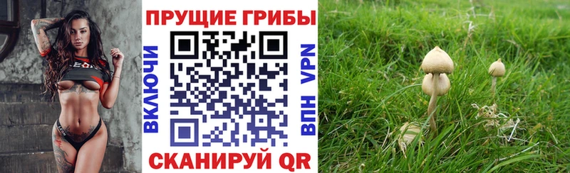 гидра   Горячий Ключ  Псилоцибиновые грибы ЛСД 