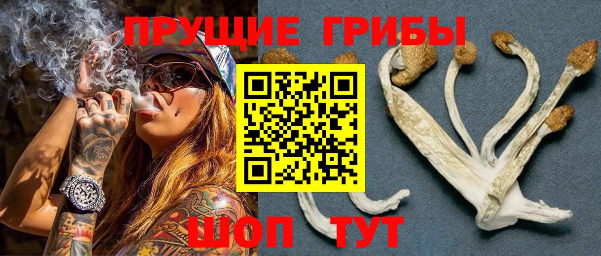 Псилоцибиновые грибы мухоморы  Псилоцибиновые грибы мухоморы  Вход с VPN  Горячий Ключ 
